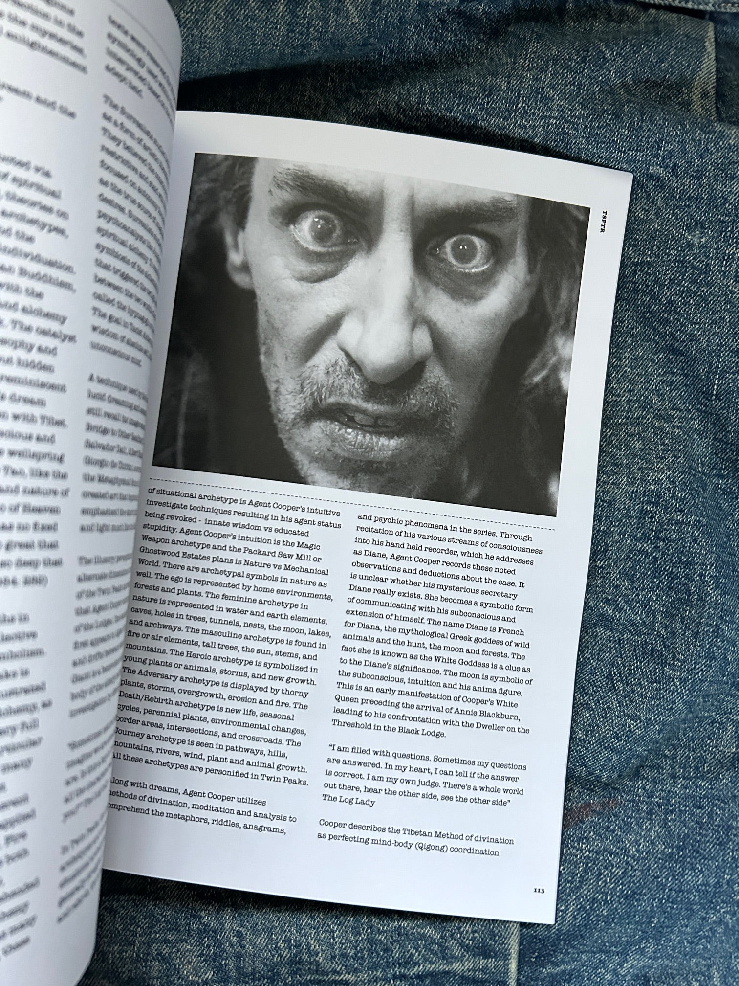 TSPTR JOURNAL presents TWIN PEAKS