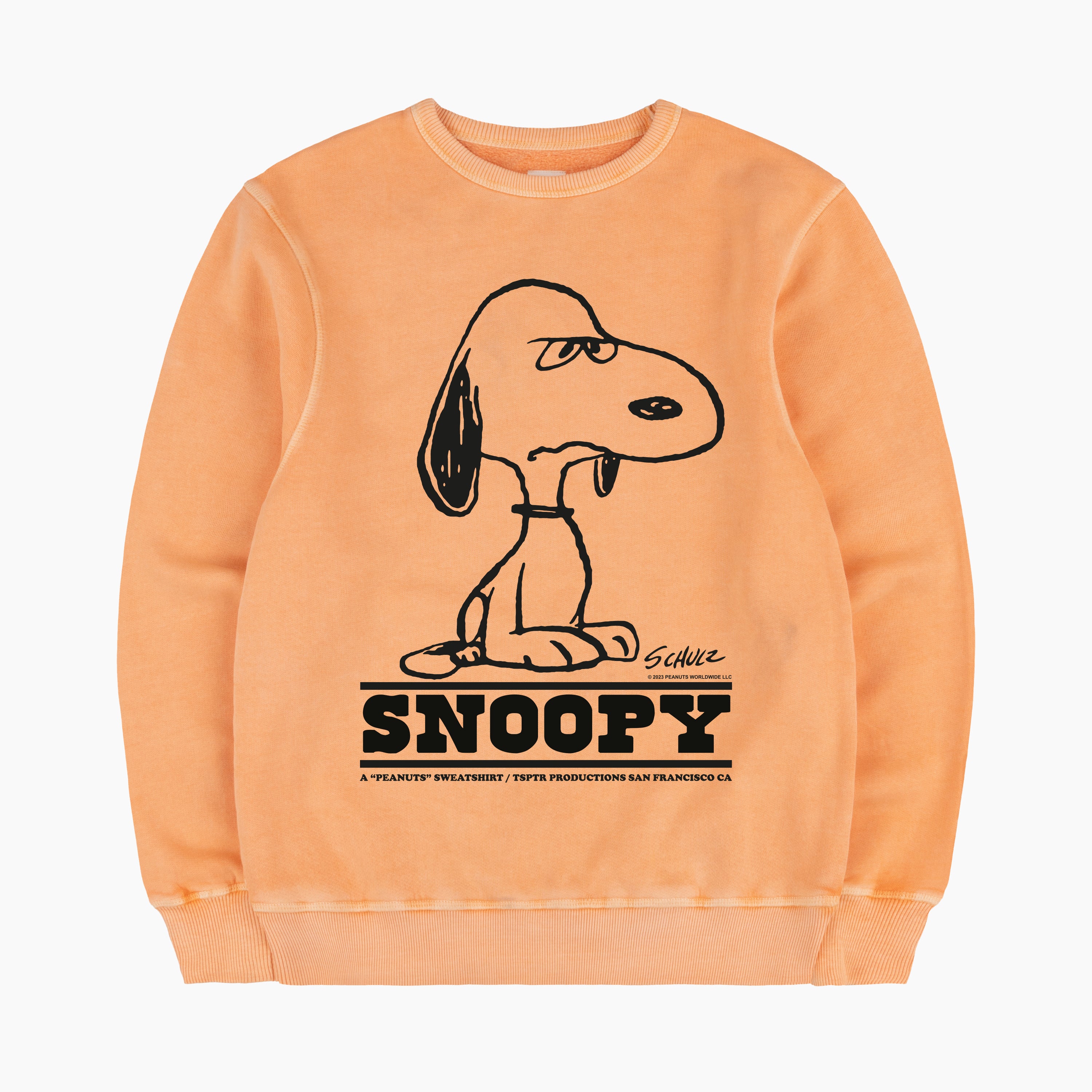 Snoopy Bite Sweatshirt