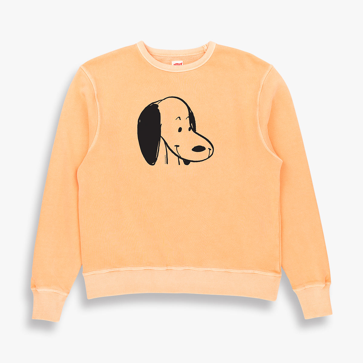 SNOOPY SWEAT