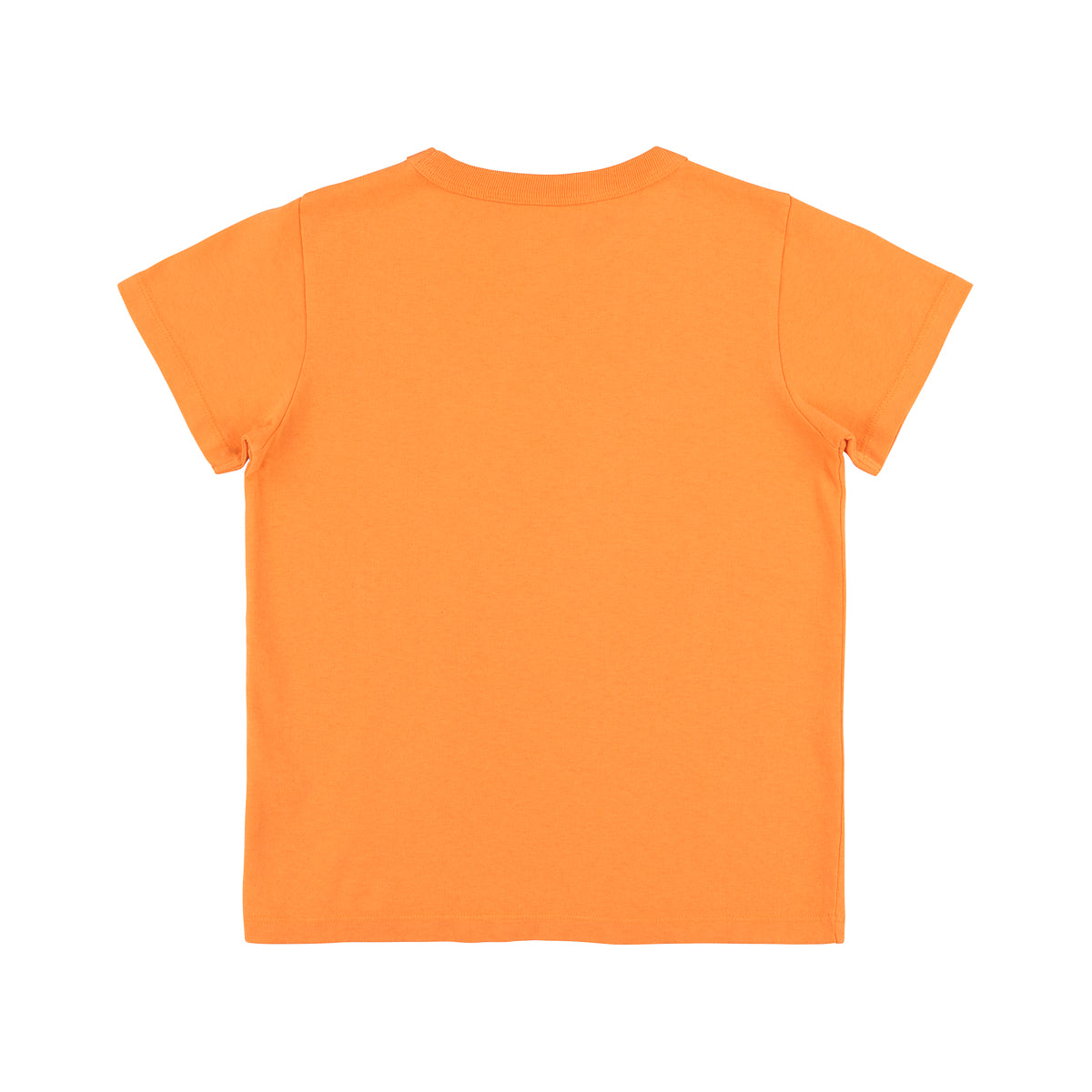 CAPRICORN TEE