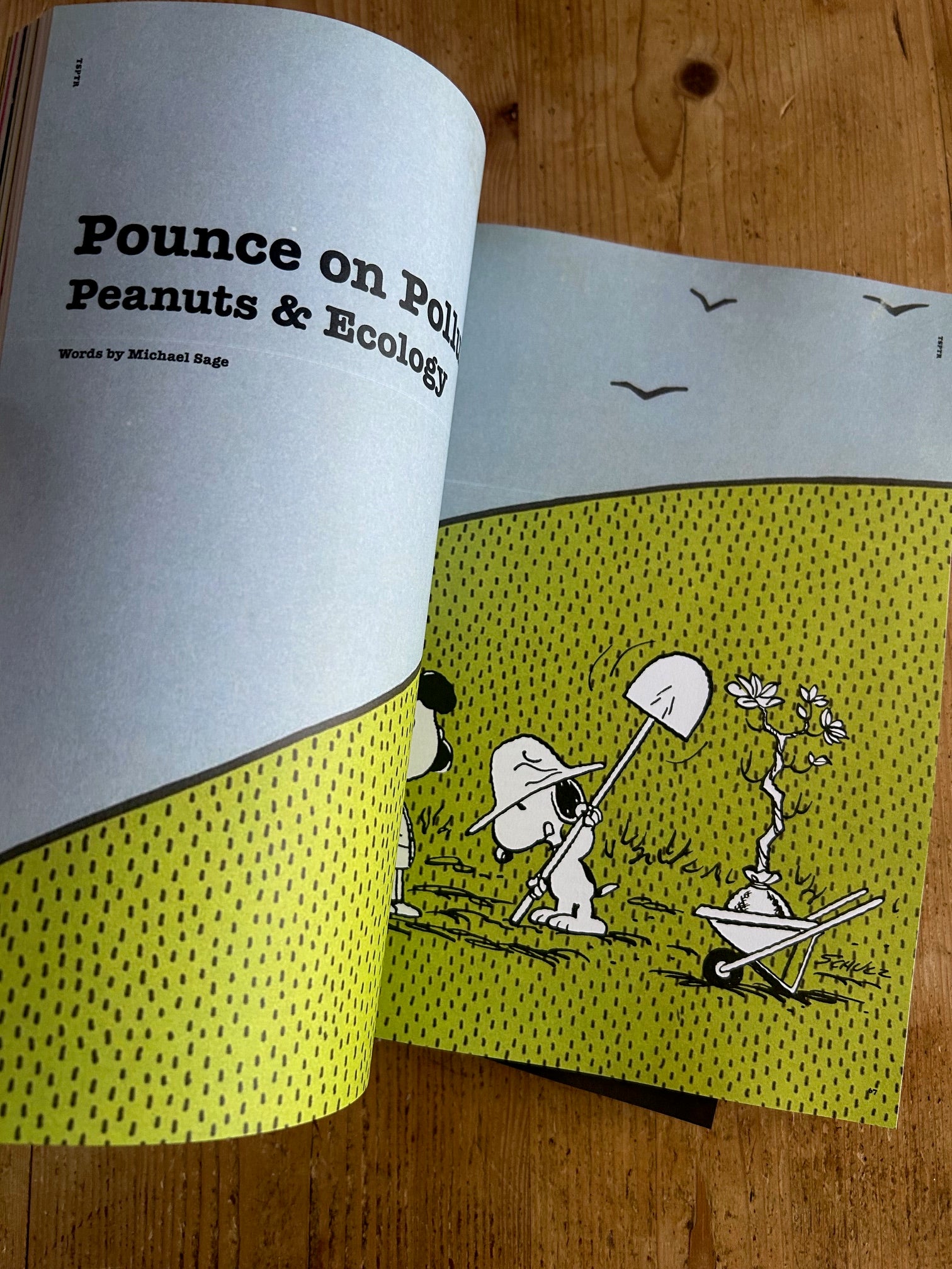TSPTR'S BIG OL' BOOK OF PEANUTS