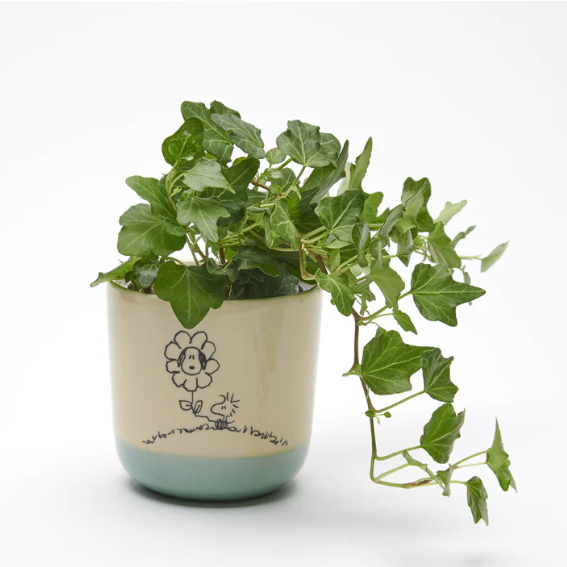 PEANUTS STONEWARE LOVE IS IN BLOOM PLANTER