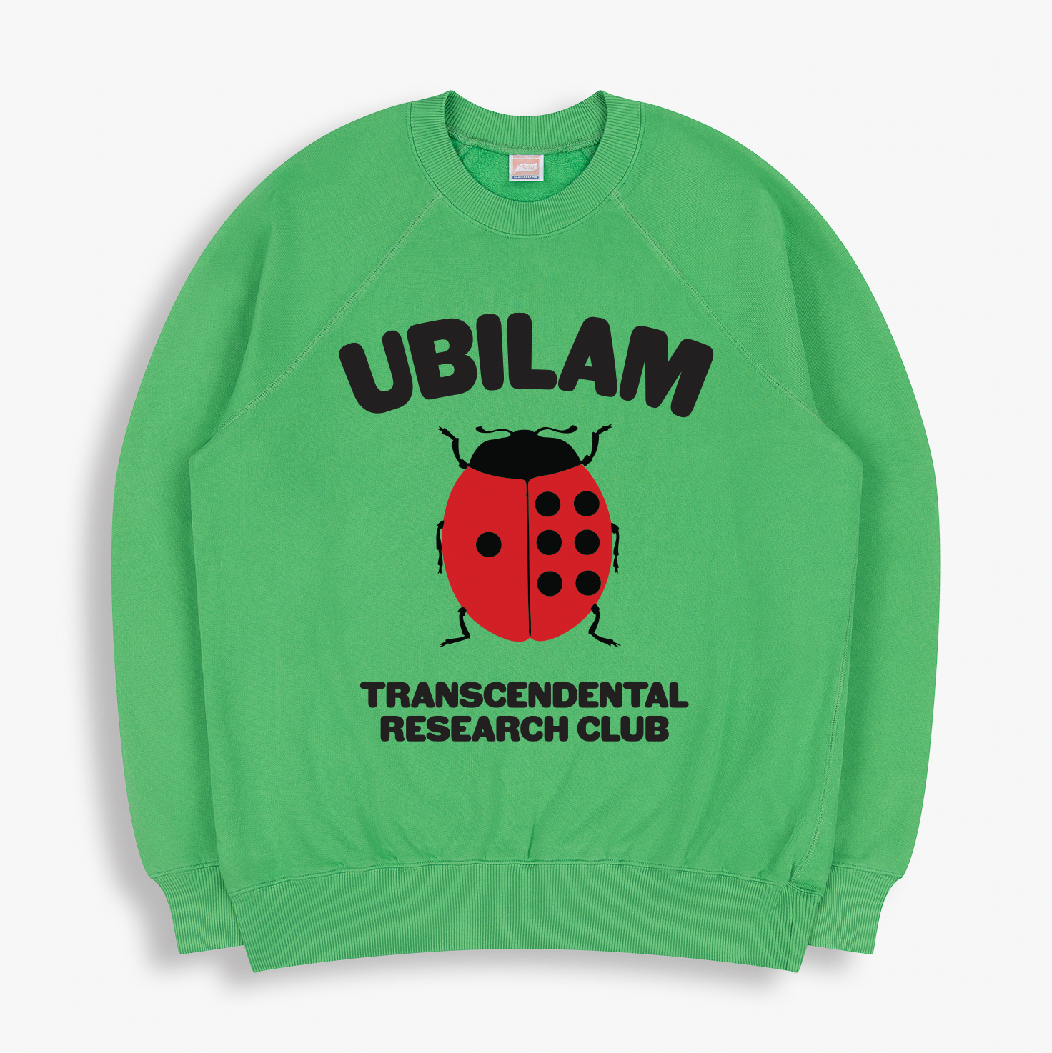 LADYBUG SWEATSHIRT