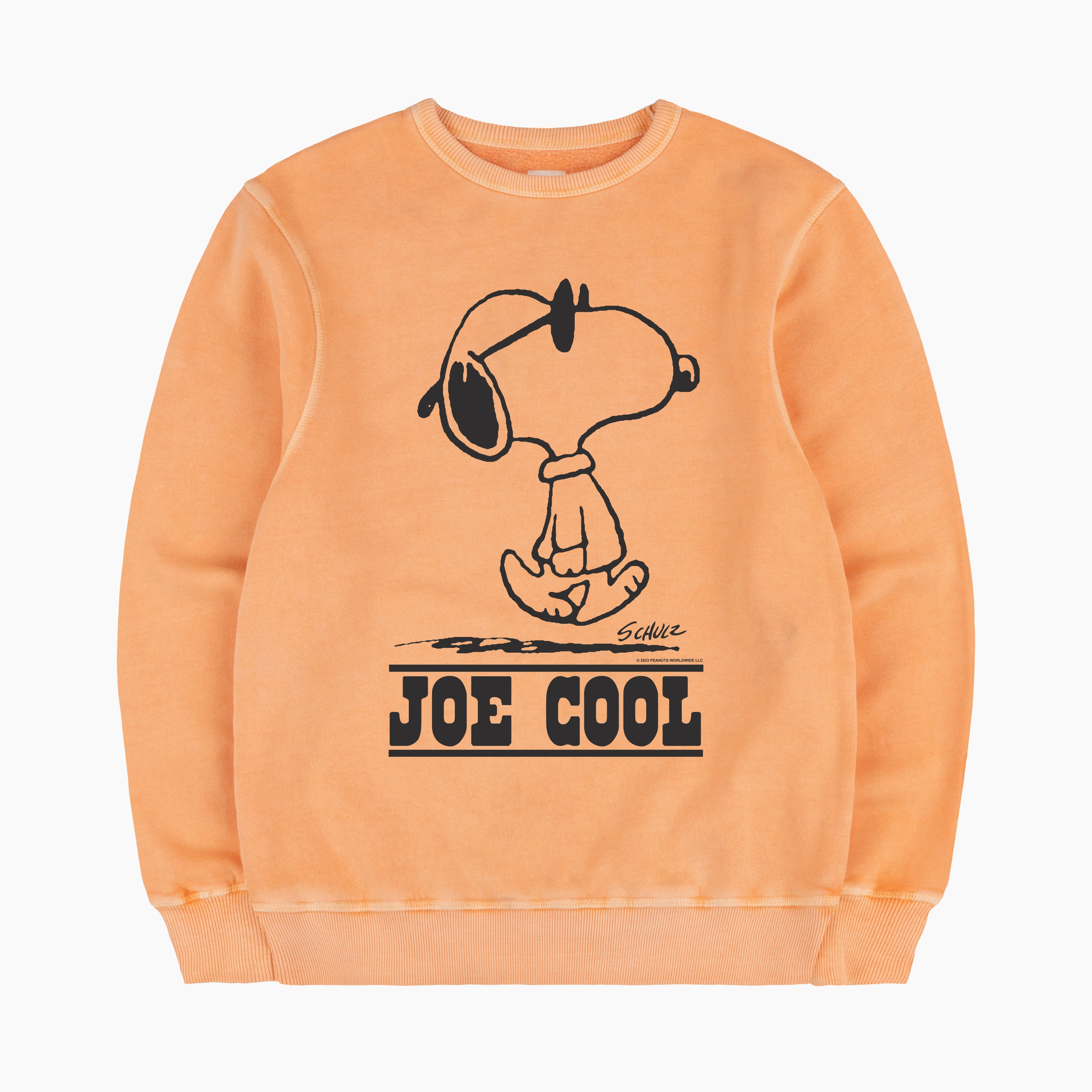 Joe Cool Sweatshirt