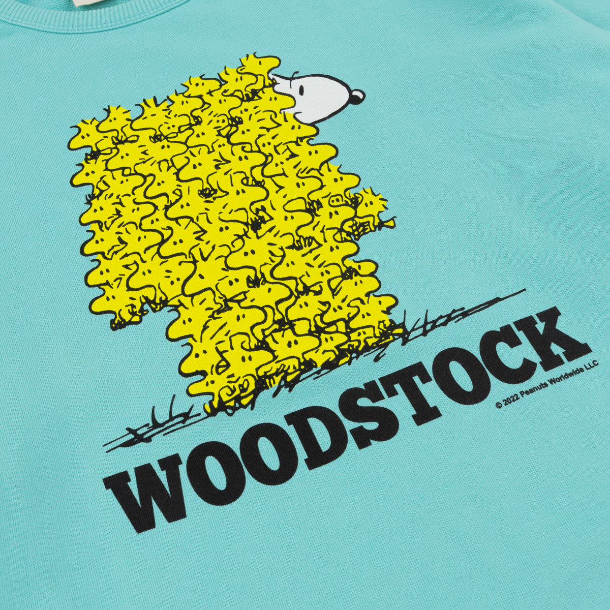 Woodstock Sweatshirt