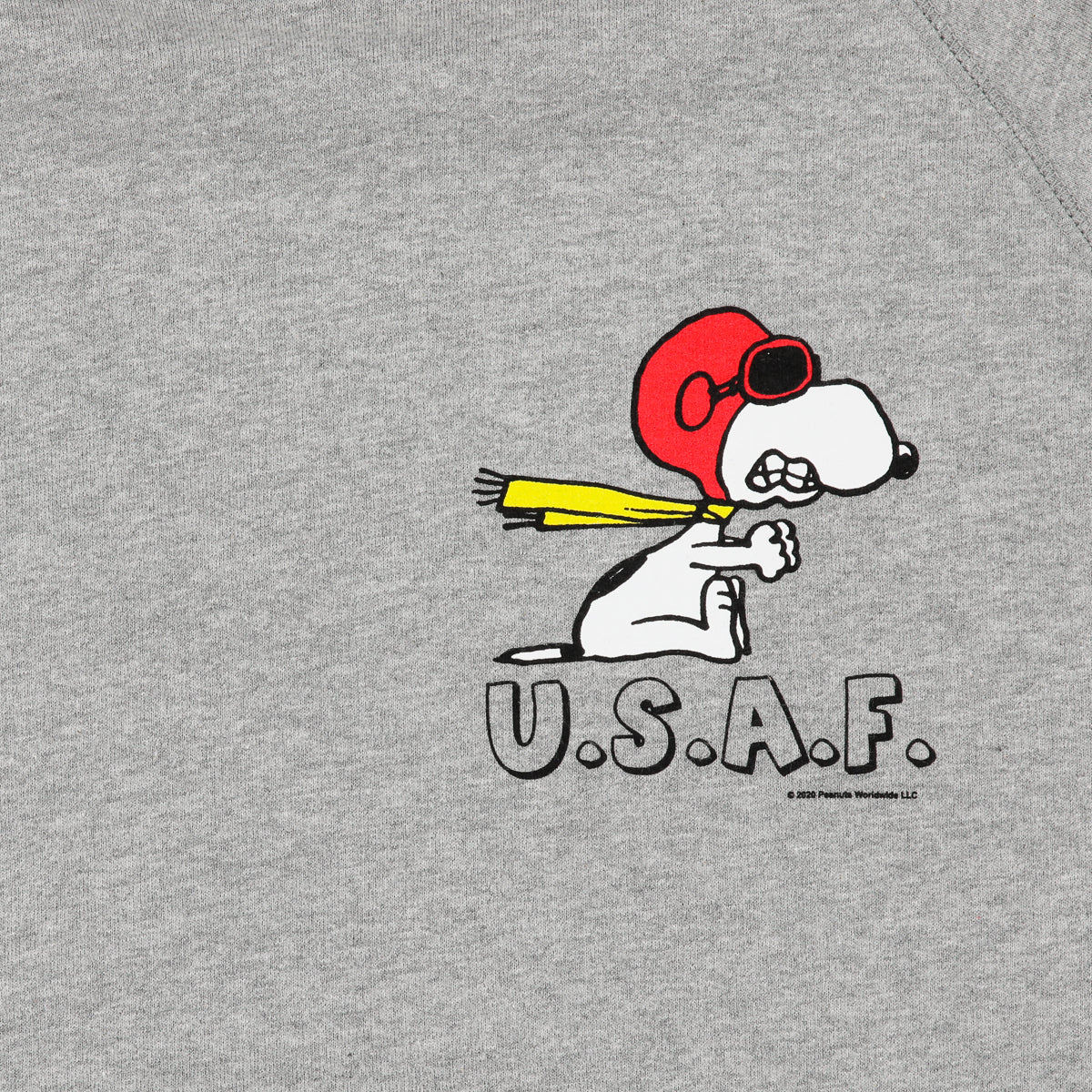 SNOOPY USAF HOODED SWEATSHIRT